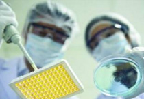 Group Portfolio   Yinfeng Biological Group.,LTD