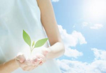 Group Portfolio   Yinfeng Biological Group.,LTD