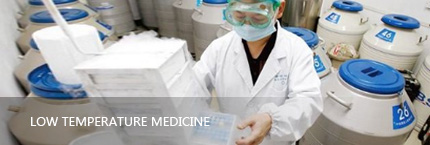 Investment Field   Yinfeng Biological Group.,LTD